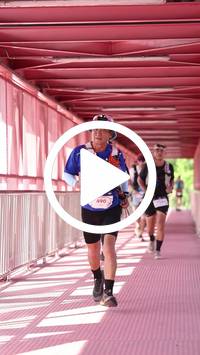 BIB:  <button type="button" onclick="openModal(27533398)" class="btn btn-primary btn-sm float-right" data-toggle="modal" data-target=".modal-high-quality">
                <i class="fa fa-download"></i> Download
                </button>